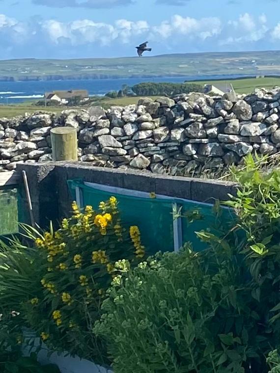 Journey'S End B&B Milltown Malbay Exterior photo