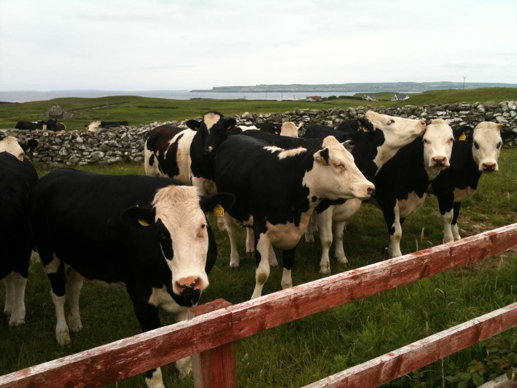 Journey'S End B&B Milltown Malbay Exterior photo